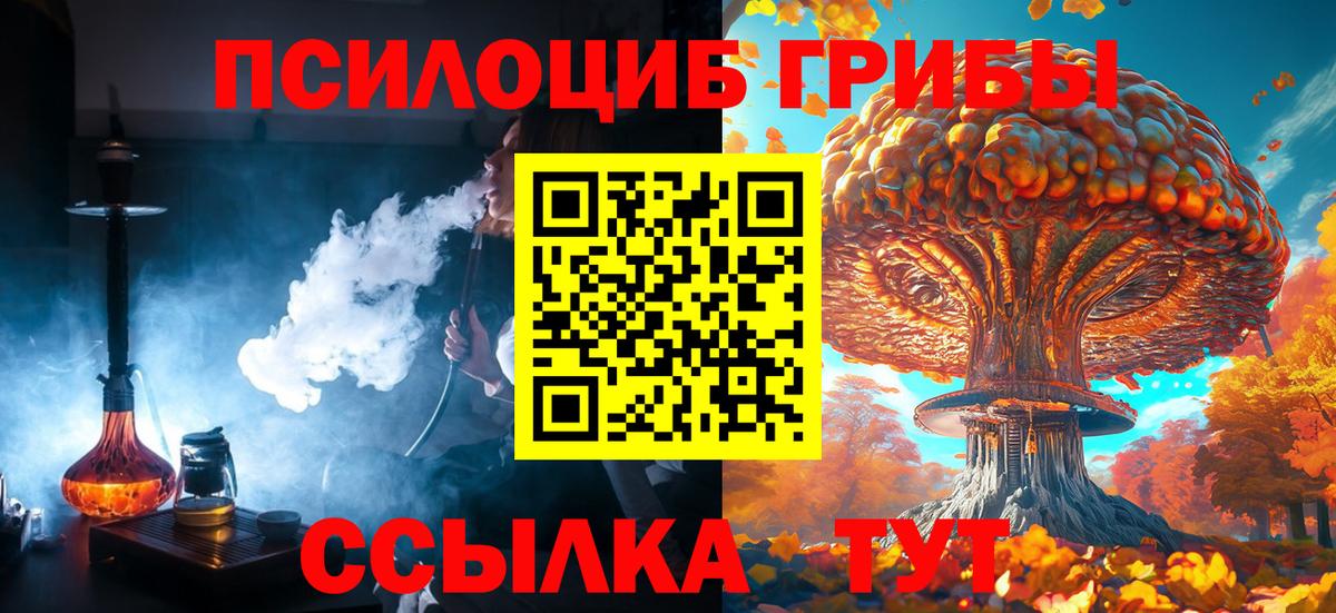 Щёлково  Псилоцибиновые грибы мухоморы  Вход с VPN 